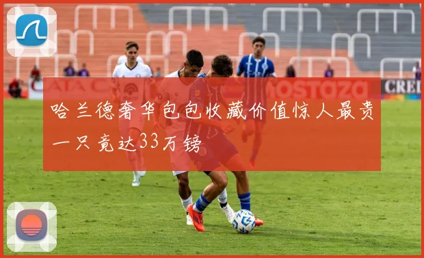 哈兰德奢华包包收藏价值惊人最贵一只竟达33万镑